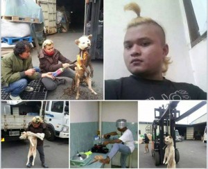Undocumented Indonesian arrested for killing and eating a dog