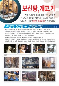 SaveKoreanDogs Leaflet_2
