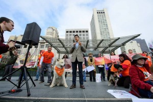 Photo:  Dr. Peter Li with Humane Society International addresses the supporters. Photo: Daniel McPartlan Photography