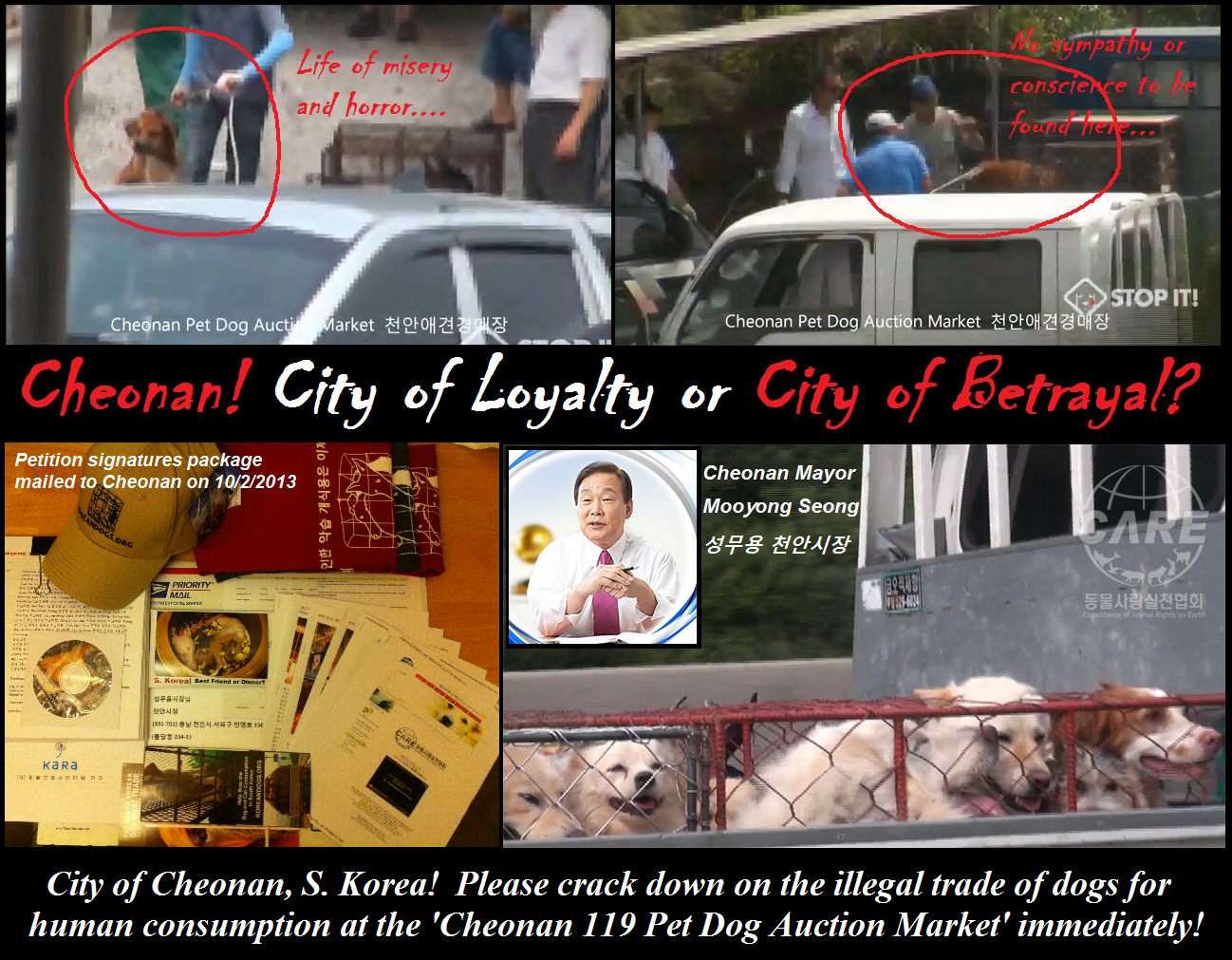 Please crack down on the illegal trade of dogs for human consumption at the