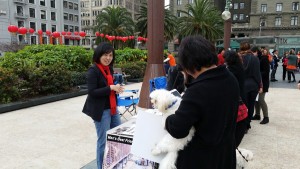 Our table.  Giny talking to a supporter with her furry baby. 