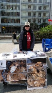 Our super volunteer activist, Sammarye Lewis helping the Korean dogs as usual.  Thank you, Sam!  You the best!