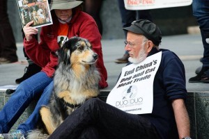 It was great to have dogs present at the rally to give their support and two paws up!  :O)  Photo:  Global March for Elephants and Rhinos