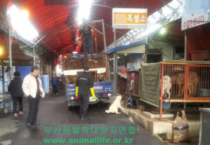 Busan Gupo Market.  Photo: Busan KAPCA.