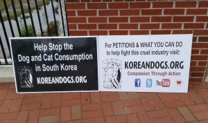 We had five signs promoting veganism in addition to these two KoreanDogs.org signs.