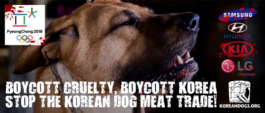 Boycott Cruelty, Boycott Korea