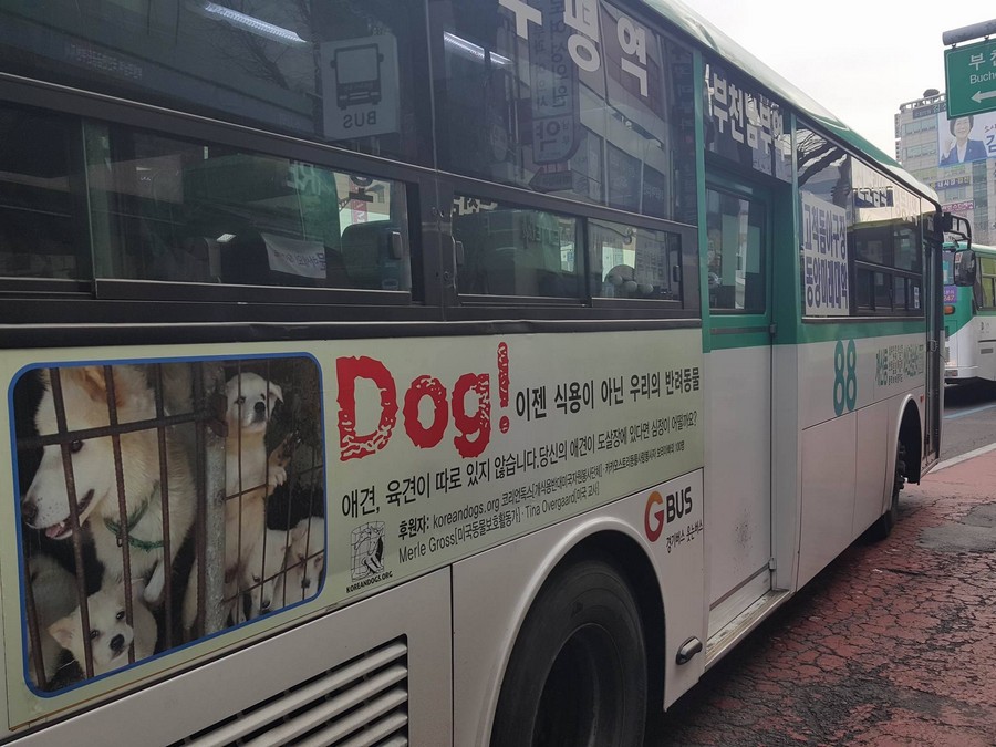 2016 Bus Ad Campaign