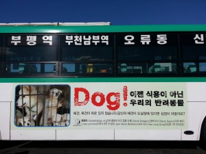 Nami Kim Bus Ad 2016_1