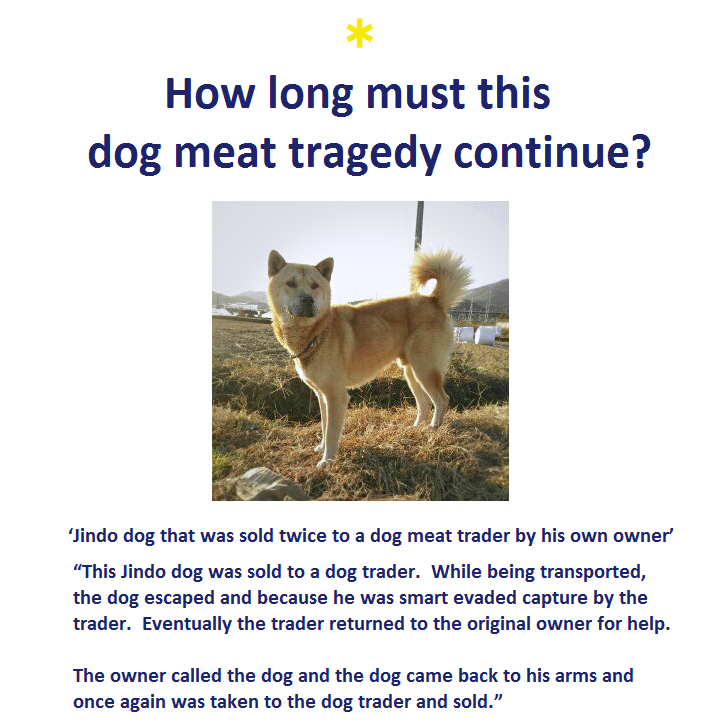 kara-dog-meat-law-graphic_1