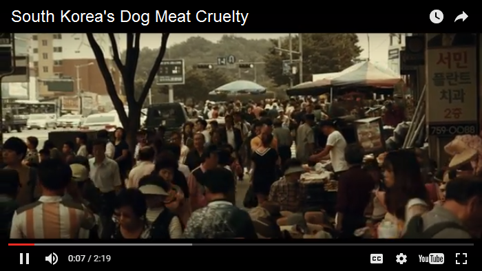 south-koreas-dog-meat-cruelty-trailer