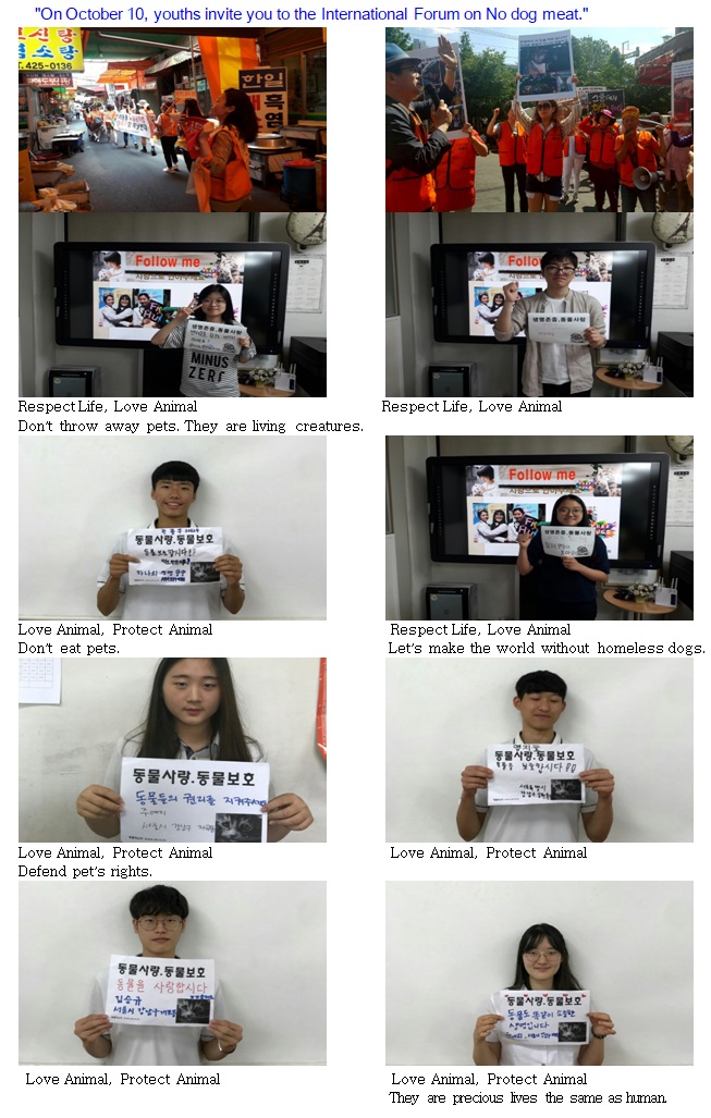 On October 10, youths invite you to the International Forum on No dog meat