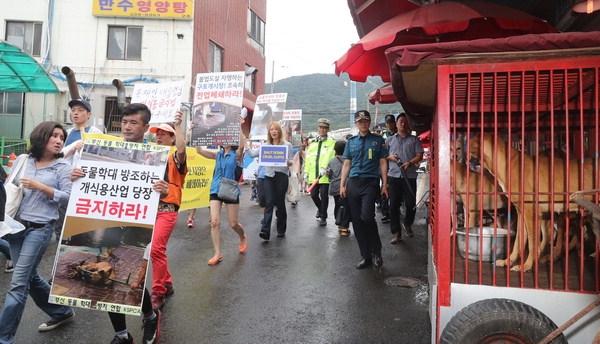 Photo:  Busan.com.  Animal activists/organizations including Busan KAPCA, ADF, CARE held protest on August 22, 2017 at the Busan Gupo Market for the shut down of dog meat market.