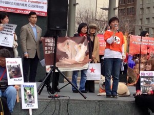 Andrea Gung talks about how we can all help to end the horrific dog meat cruelty in China.