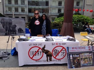 Rosemary and the Global March for Elephants and Rhinos team were also there to represent the elephants and rhinos killed in ivory trade.   