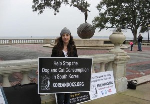 Amanda is one of the new members of the KoreanDogs.org Florida team. Her three-year-old daughter Madilyn and her friend Ashley also demonstrated against the extremely cruel dog and cat meat trade. 