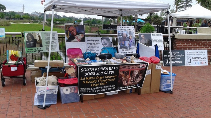 Here is our table at the North Florida VegFest in Tallahassee.