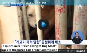How much is a fair price Disputes over price of dog meat goes to the Fair Trade Commission_screenshot