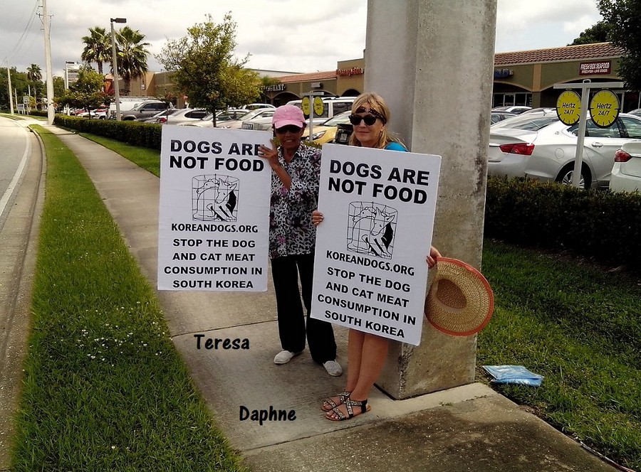 Teresa and Daphne are valuable members of the KoreanDogs.org Florida team. Special thanks to Daphne who had some very important business to do this morning but drove an hour to Daytona Beach anyway.