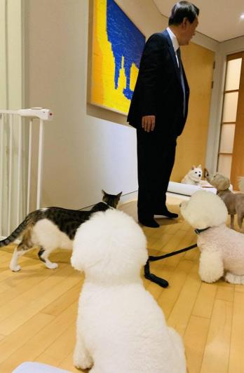 Yoon Suk-Yeol, South Korean Conservative Leader, wins Presidency. - Stop  the Dog and Cat Consumption in S. Korea!